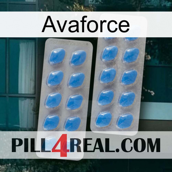Avaforce 23.jpg
